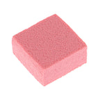Color Paddle Eraser